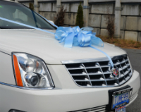 Wedding cadillac limo vancouver - vancouver wedding limos by Time Limo